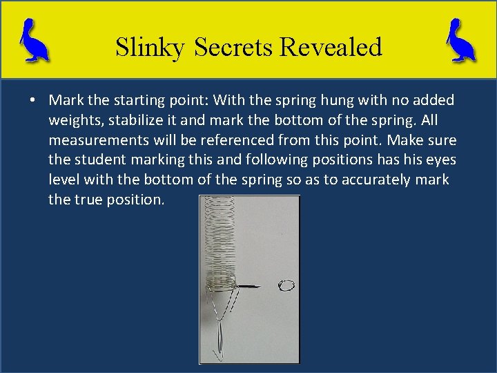 Slinky Secrets Revealed • Mark the starting point: With the spring hung with no