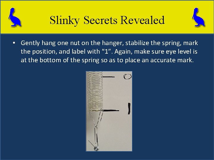 Slinky Secrets Revealed • Gently hang one nut on the hanger, stabilize the spring,