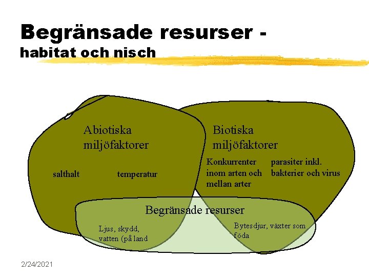 Begränsade resurser habitat och nisch Abiotiska miljöfaktorer salthalt temperatur Biotiska miljöfaktorer Konkurrenter inom arten