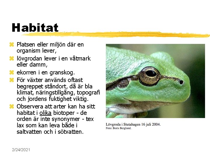 Habitat z Platsen eller miljön där en organism lever, z lövgrodan lever i en Habitat z Platsen eller miljön där en organism lever, z lövgrodan lever i en