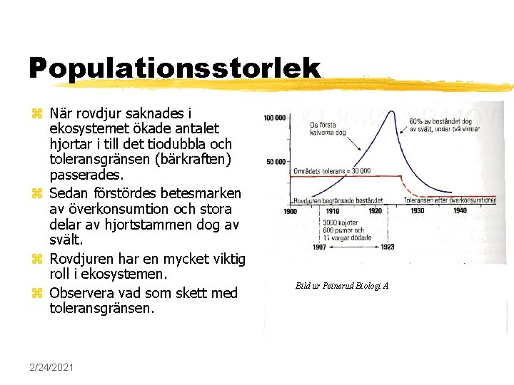 Populationsstorlek z När rovdjur saknades i ekosystemet ökade antalet hjortar i till det tiodubbla