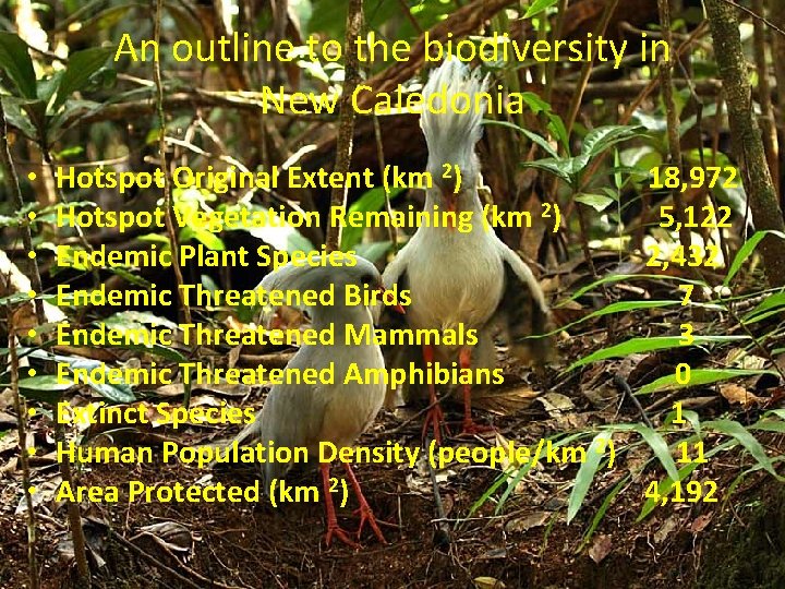 An outline to the biodiversity in New Caledonia • • • Hotspot Original Extent