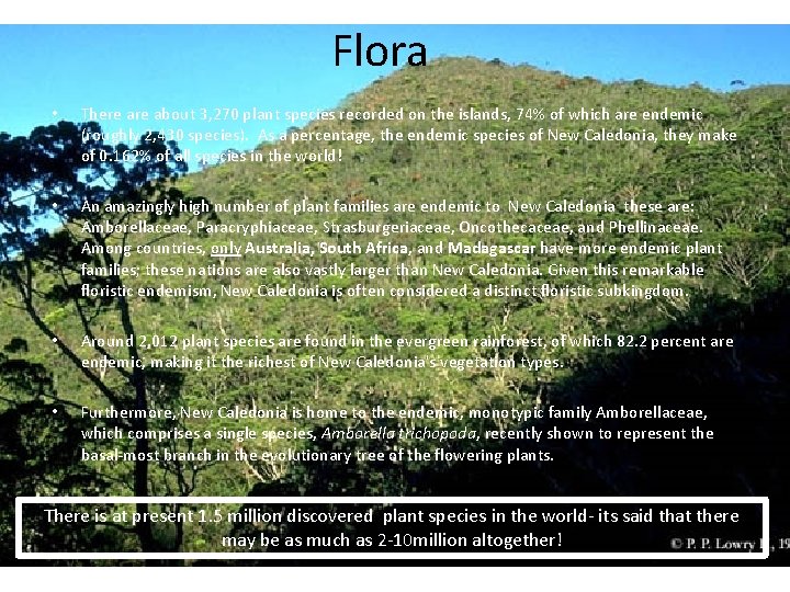 Flora • There about 3, 270 plant species recorded on the islands, 74% of