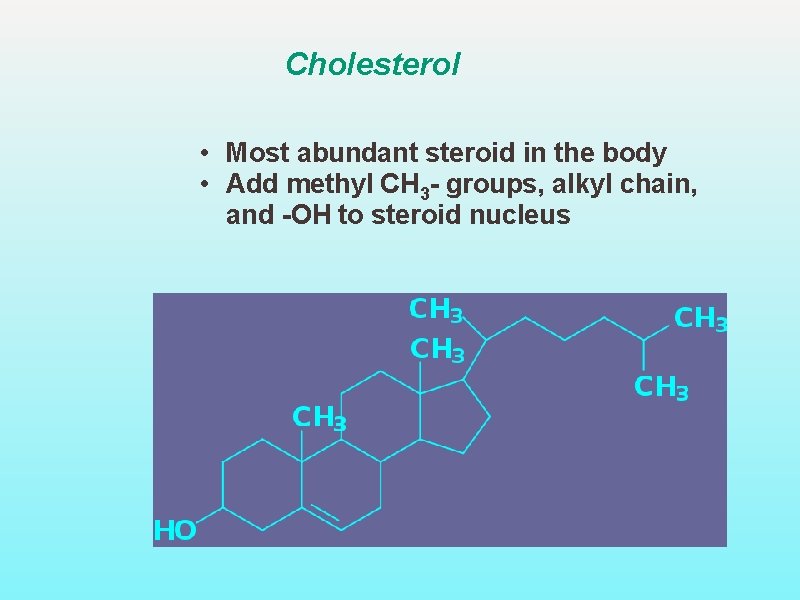 Cholesterol • Most abundant steroid in the body • Add methyl CH 3 -