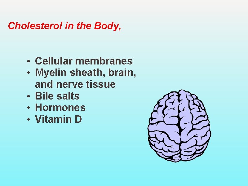 Cholesterol in the Body, • Cellular membranes • Myelin sheath, brain, and nerve tissue