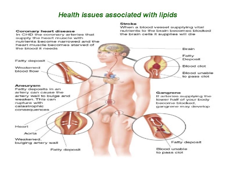 Health issues associated with lipids 