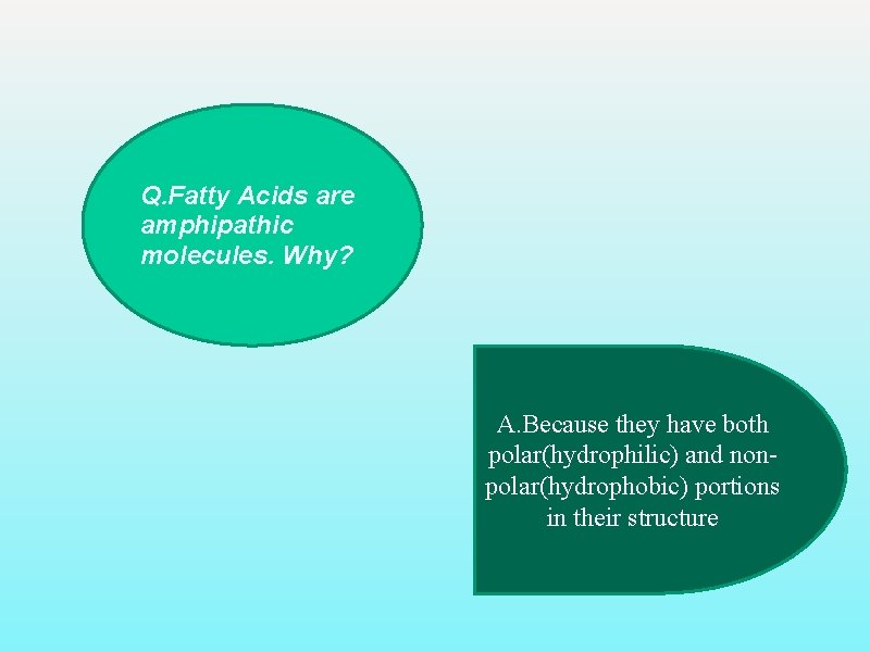 Q. Fatty Acids are amphipathic molecules. Why? A. Because they have both polar(hydrophilic) and