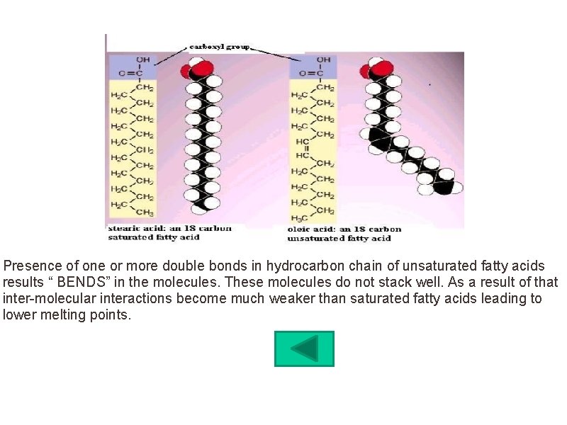 Presence of one or more double bonds in hydrocarbon chain of unsaturated fatty acids