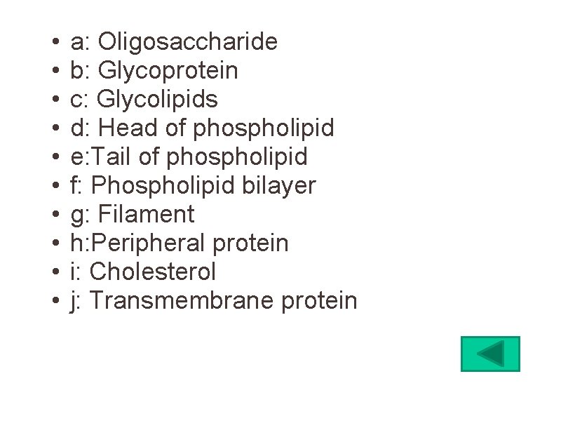 • • • a: Oligosaccharide b: Glycoprotein c: Glycolipids d: Head of phospholipid