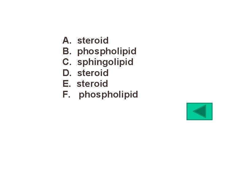 A. B. C. D. E. F. steroid phospholipid sphingolipid steroid phospholipid 