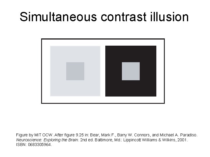 Simultaneous contrast illusion Figure by MIT OCW. After figure 9. 25 in: Bear, Mark