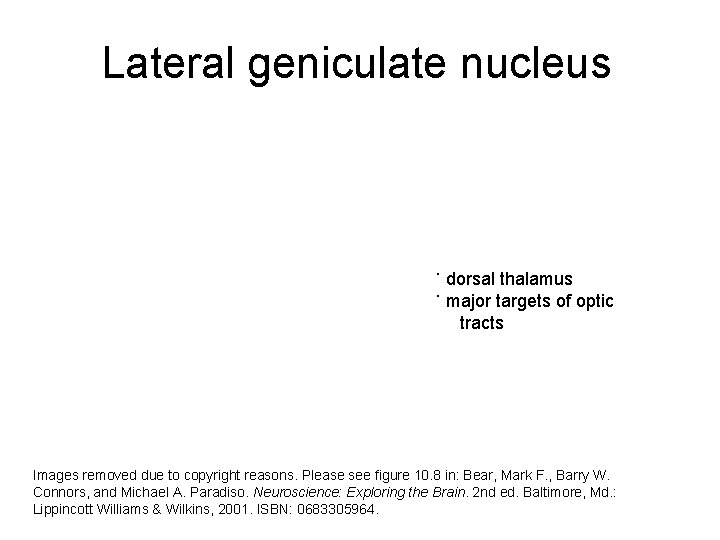 Lateral geniculate nucleus ˙ dorsal thalamus ˙ major targets of optic tracts Images removed