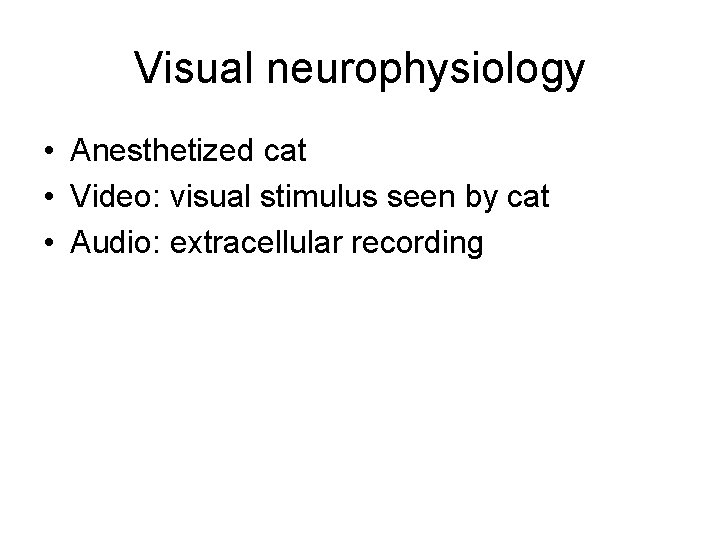 Visual neurophysiology • Anesthetized cat • Video: visual stimulus seen by cat • Audio: