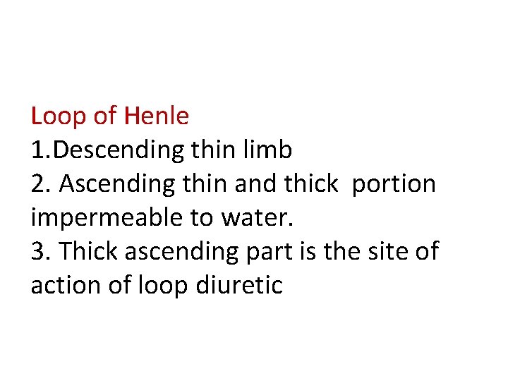 Loop of Henle 1. Descending thin limb 2. Ascending thin and thick portion impermeable