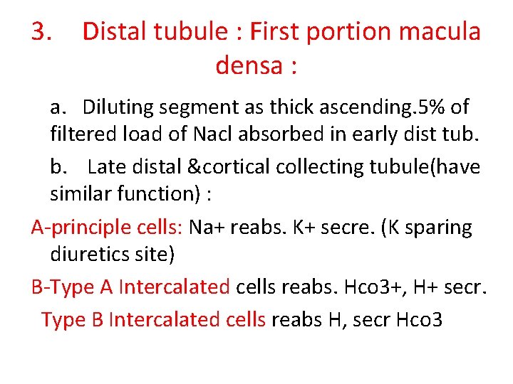 3. Distal tubule : First portion macula densa : a. Diluting segment as thick