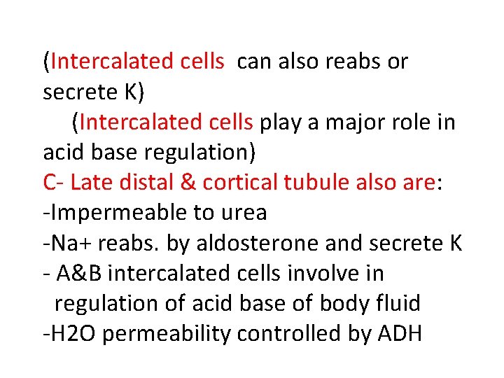 (Intercalated cells can also reabs or secrete K) (Intercalated cells play a major role