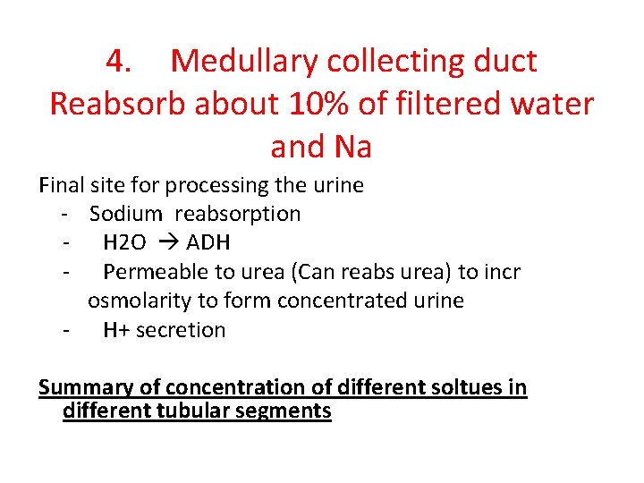 4. Medullary collecting duct Reabsorb about 10% of filtered water and Na Final site