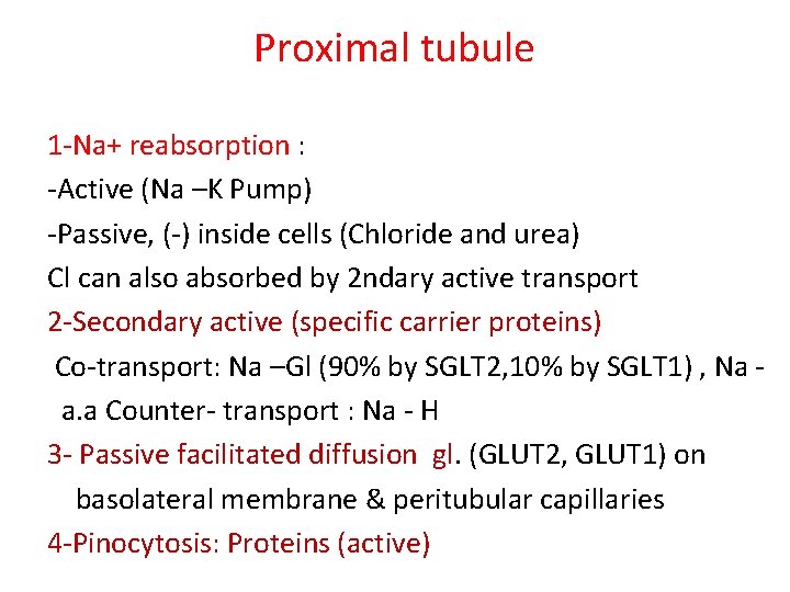 Proximal tubule 1 -Na+ reabsorption : -Active (Na –K Pump) -Passive, (-) inside cells