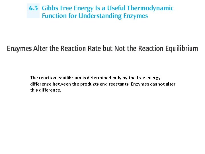The reaction equilibrium is determined only by the free energy difference between the products