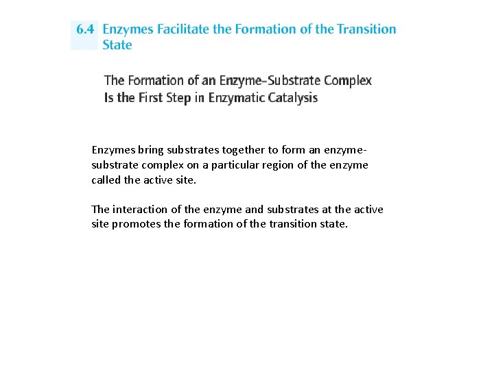 Enzymes bring substrates together to form an enzymesubstrate complex on a particular region of