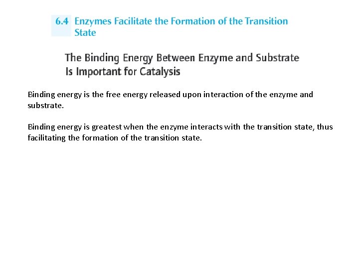 Binding energy is the free energy released upon interaction of the enzyme and substrate.