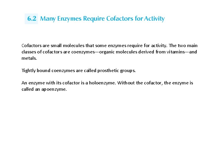 Cofactors are small molecules that some enzymes require for activity. The two main classes