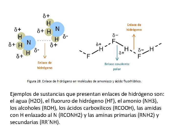 Ejemplos de sustancias que presentan enlaces de hidrógeno son: el agua (H 2 O),