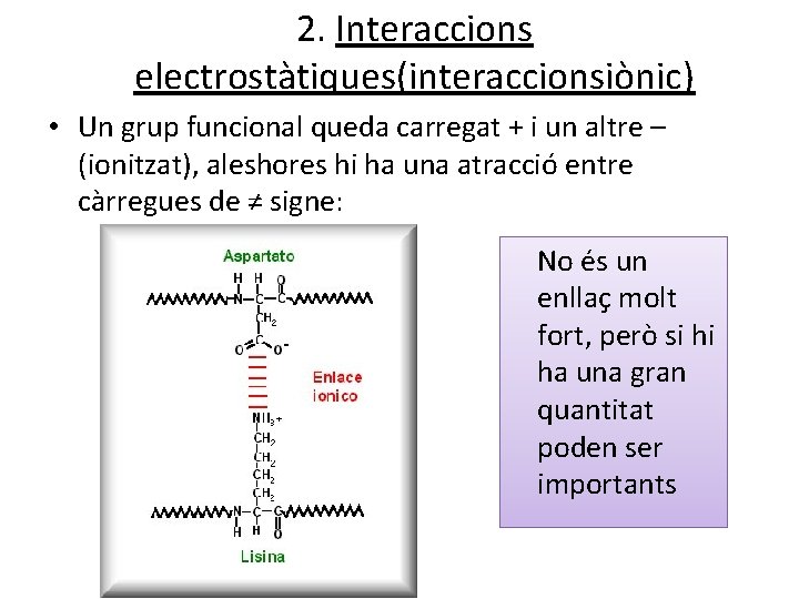 2. Interaccions electrostàtiques(interaccionsiònic) • Un grup funcional queda carregat + i un altre –