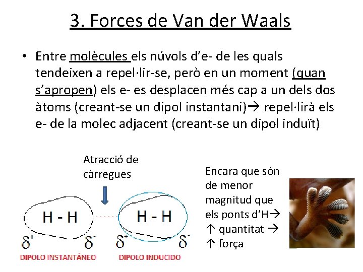3. Forces de Van der Waals • Entre molècules els núvols d’e- de les