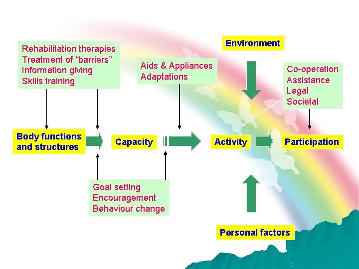 Rehabilitation therapies Treatment of “barriers” Information giving Skills training Body functions and structures Environment