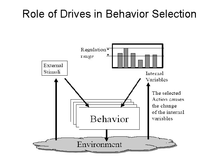 Role of Drives in Behavior Selection 