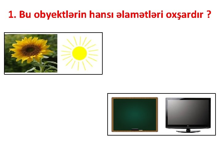 1. Bu obyektlərin hansı əlamətləri oxşardır ? 