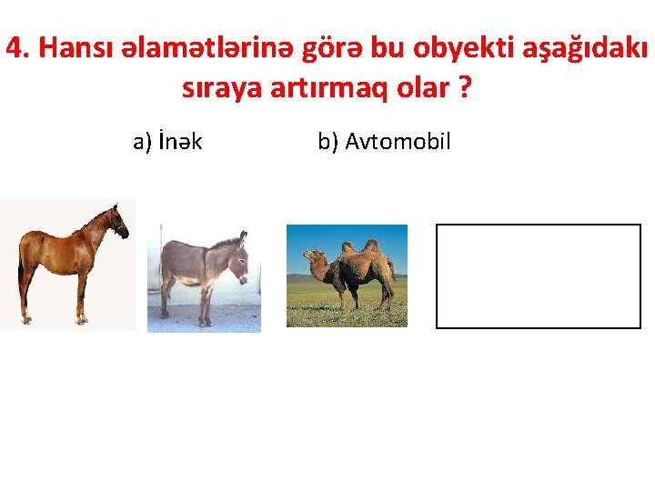 4. Hansı əlamətlərinə görə bu obyekti aşağıdakı sıraya artırmaq olar ? a) İnək b)