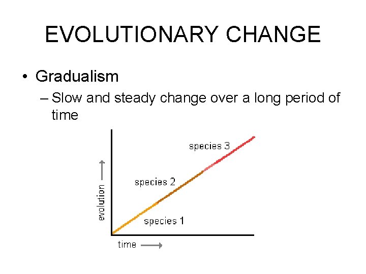 EVOLUTIONARY CHANGE • Gradualism – Slow and steady change over a long period of