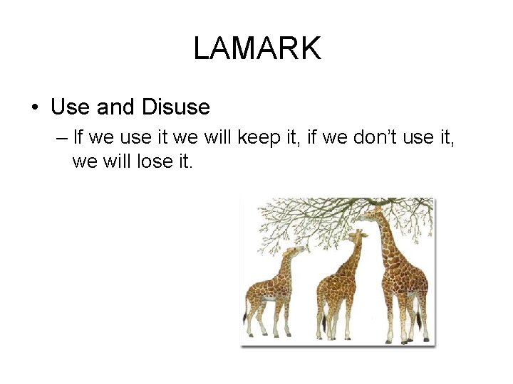 LAMARK • Use and Disuse – If we use it we will keep it,