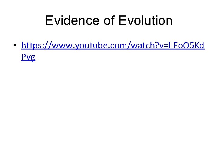 Evidence of Evolution • https: //www. youtube. com/watch? v=l. IEo. O 5 Kd Pvg