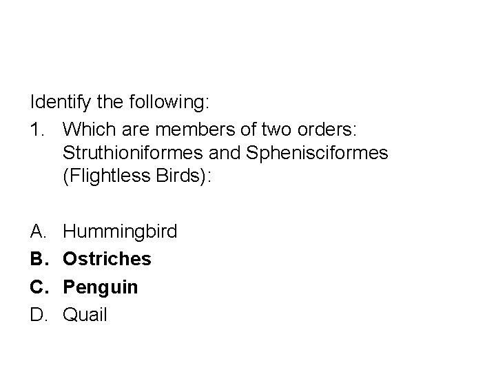 Identify the following: 1. Which are members of two orders: Struthioniformes and Sphenisciformes (Flightless