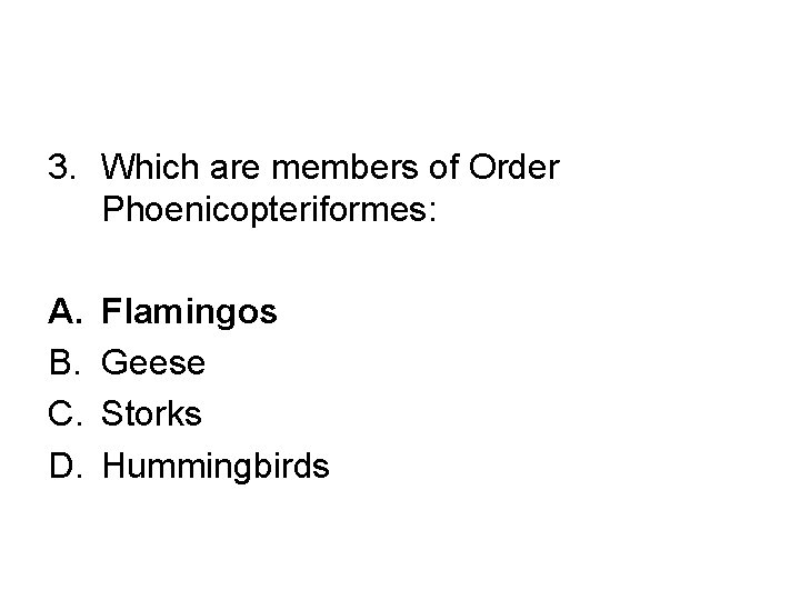 3. Which are members of Order Phoenicopteriformes: A. B. C. D. Flamingos Geese Storks