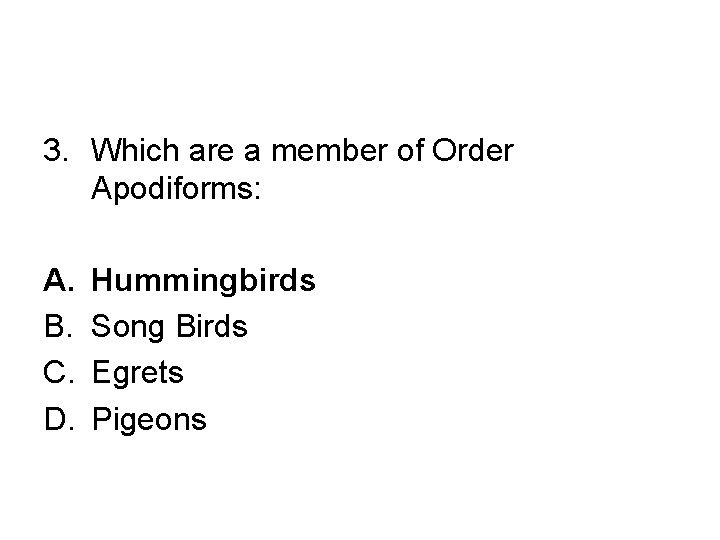 3. Which are a member of Order Apodiforms: A. B. C. D. Hummingbirds Song