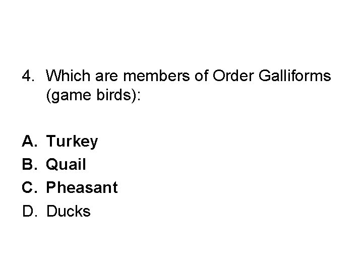 4. Which are members of Order Galliforms (game birds): A. B. C. D. Turkey