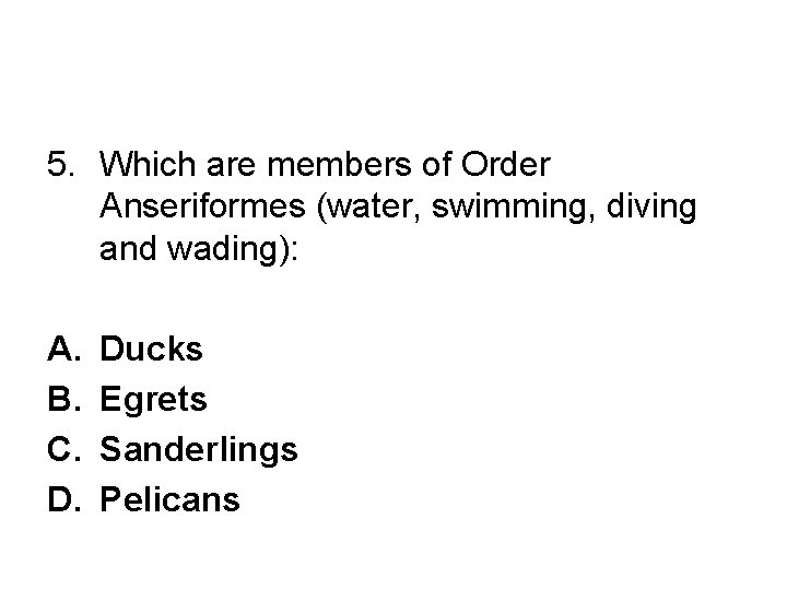 5. Which are members of Order Anseriformes (water, swimming, diving and wading): A. B.