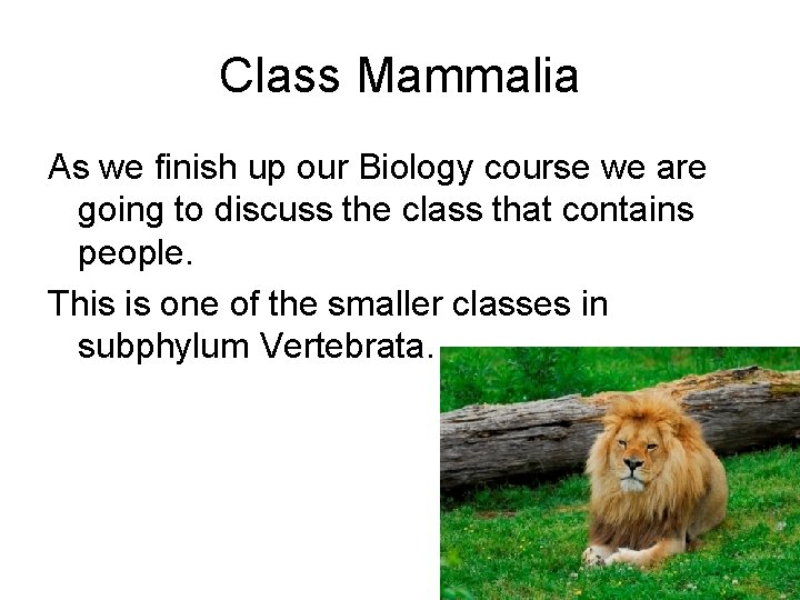 Class Mammalia As we finish up our Biology course we are going to discuss