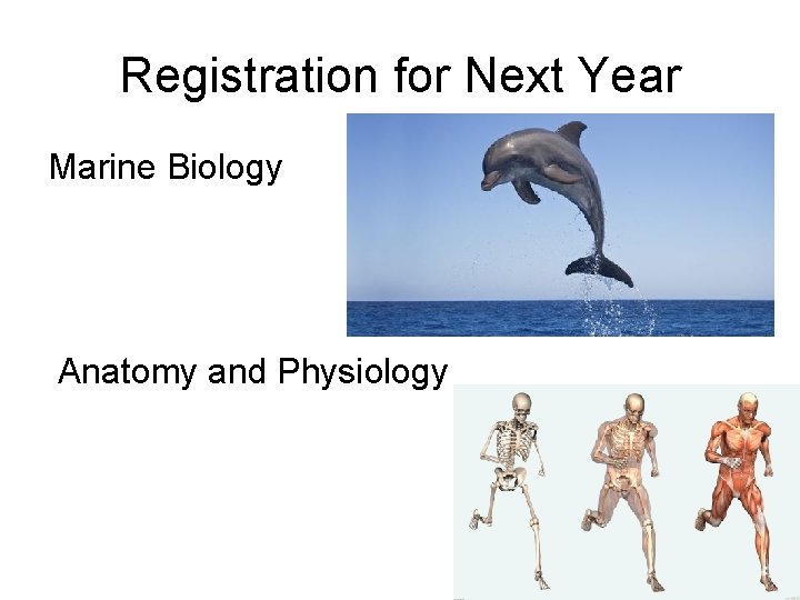 Registration for Next Year Marine Biology Anatomy and Physiology 