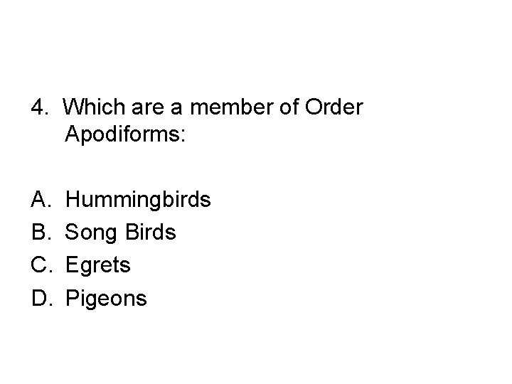 4. Which are a member of Order Apodiforms: A. B. C. D. Hummingbirds Song