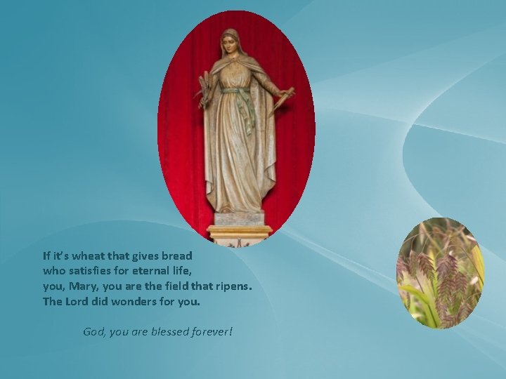 If it’s wheat that gives bread who satisfies for eternal life, you, Mary, you