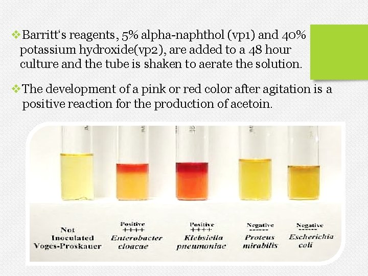 v. Barritt‘s reagents, 5% alpha-naphthol (vp 1) and 40% potassium hydroxide(vp 2), are added