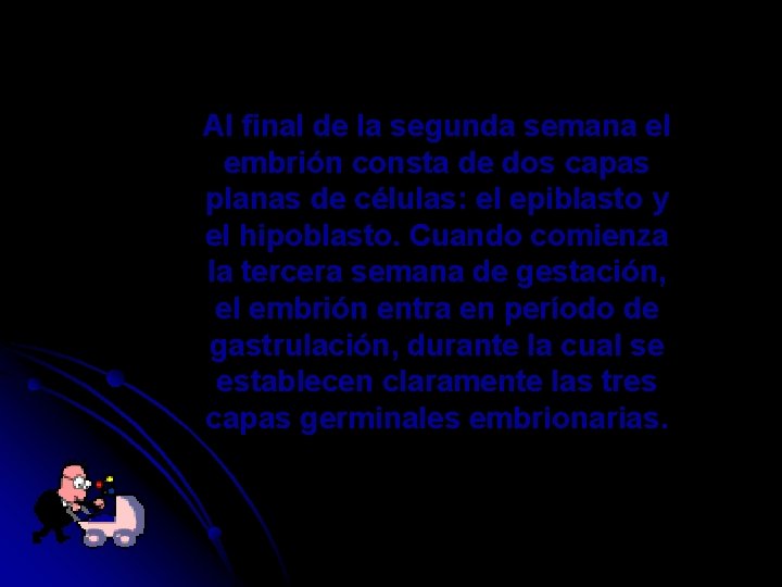 Al final de la segunda semana el embrión consta de dos capas planas de