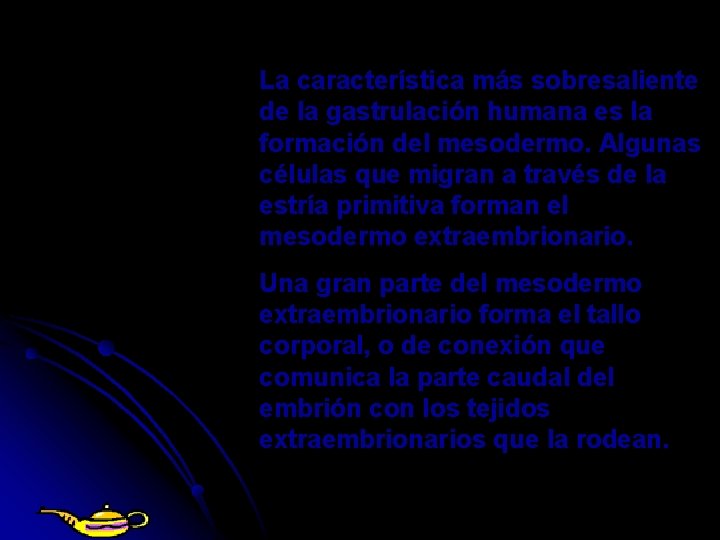 La característica más sobresaliente de la gastrulación humana es la formación del mesodermo. Algunas