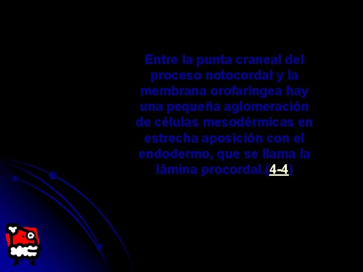 Entre la punta craneal del proceso notocordal y la membrana orofaríngea hay una pequeña