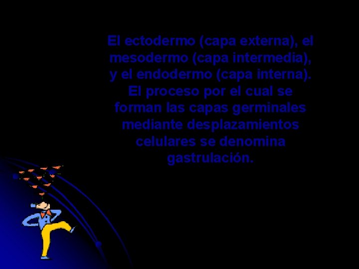 El ectodermo (capa externa), el mesodermo (capa intermedia), y el endodermo (capa interna). El